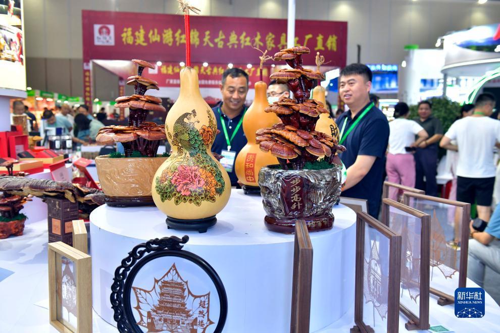 白菜网站大全